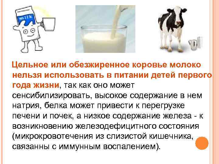 Что можно давать собаке и как правильно составить рацион на supersadovnik.ru