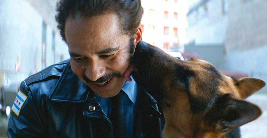 Топ 30 самых лучших фильмов про собак