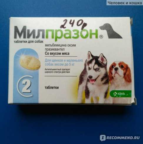 Милпразон для собак: инструкция по применению, дозировка и противопоказания, аналоги лекарства - kotiko.ru