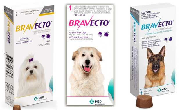 Овариовит для собак: инструкция и показания к применению, отзывы, цена