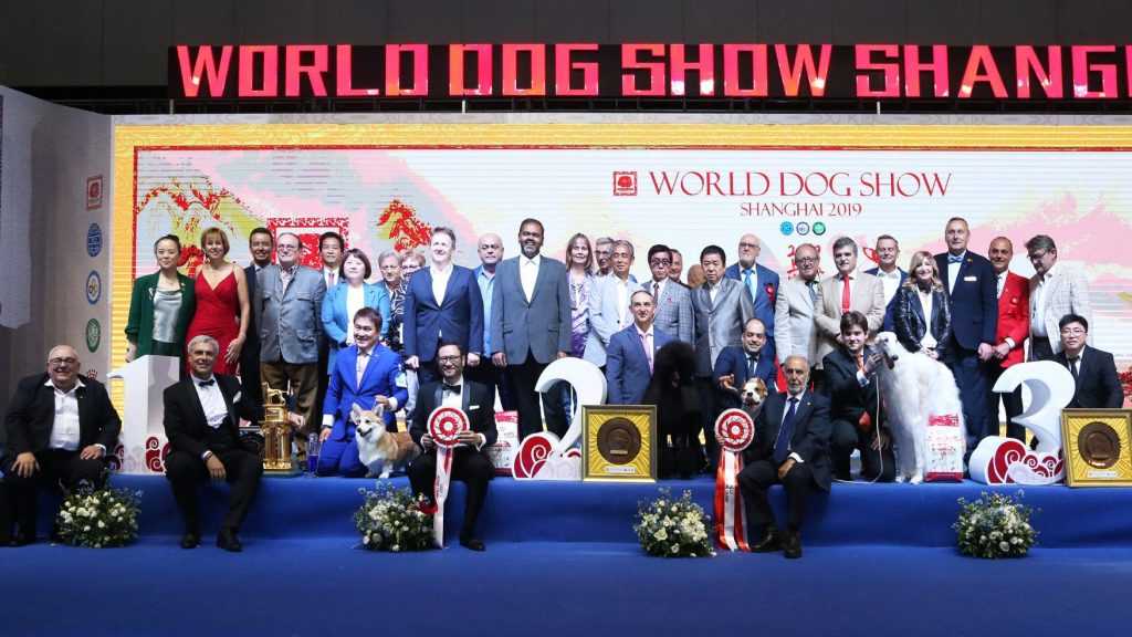 World dog show - вики