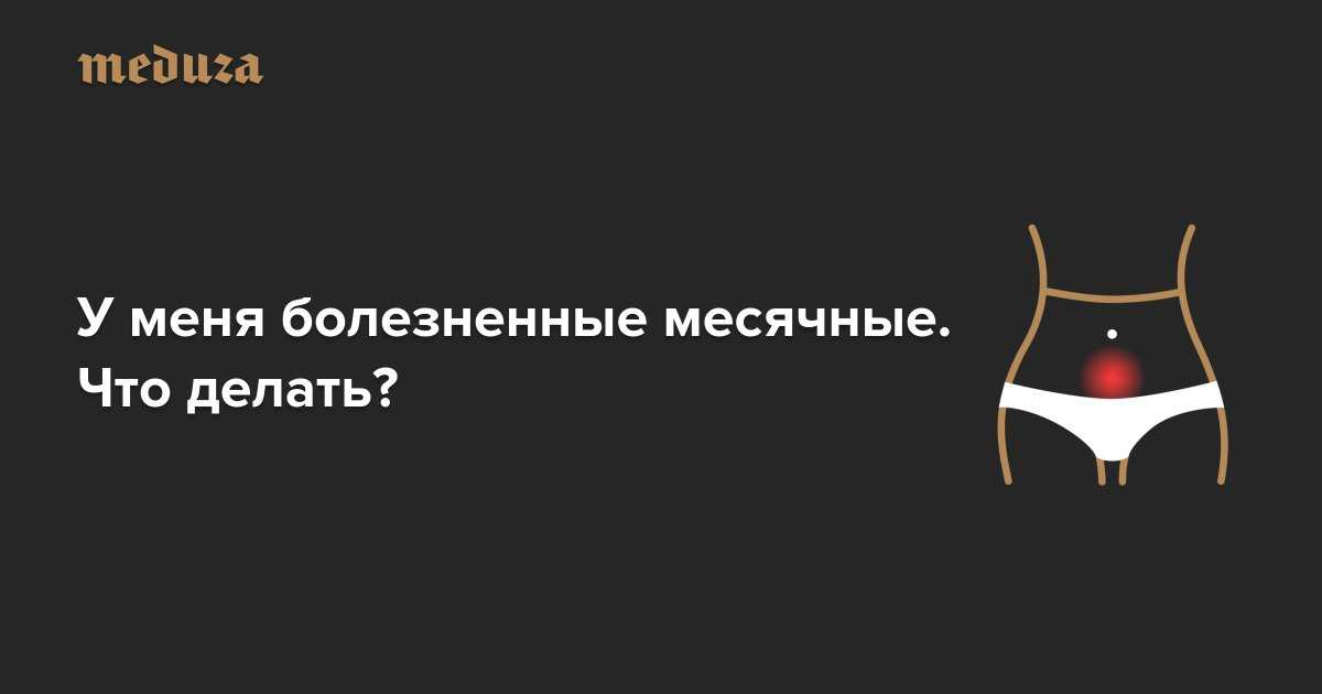 У собаки на ушах болячки - «айболит плюс» - сеть ветеринарных клиник