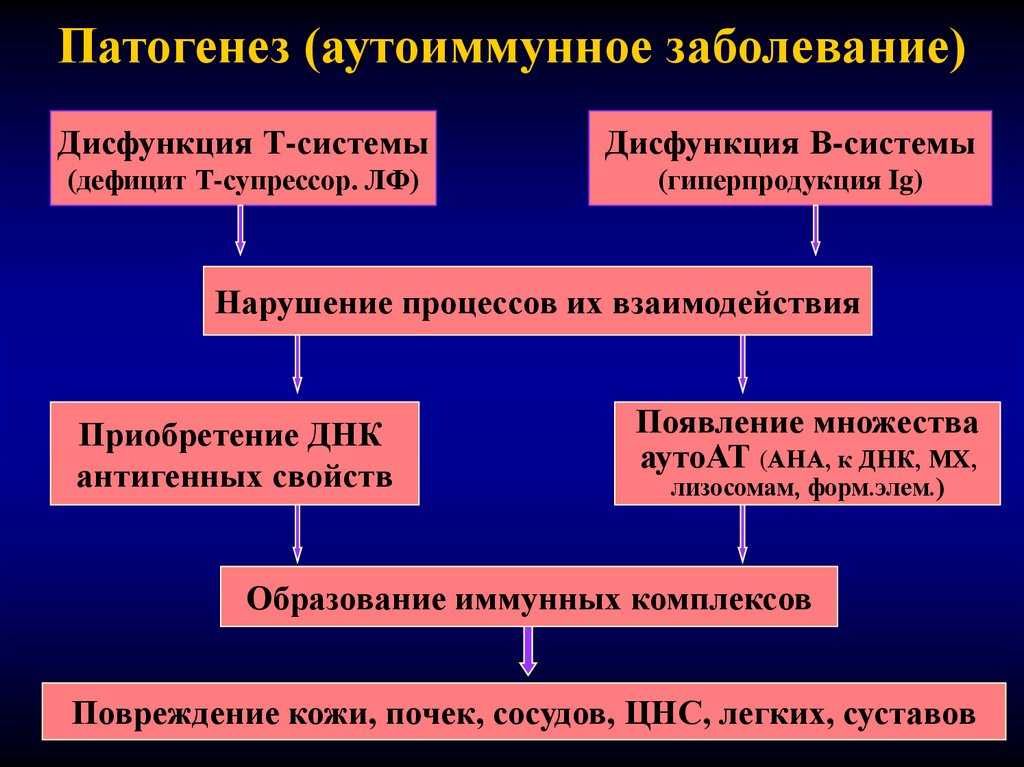 Анемия у собак
