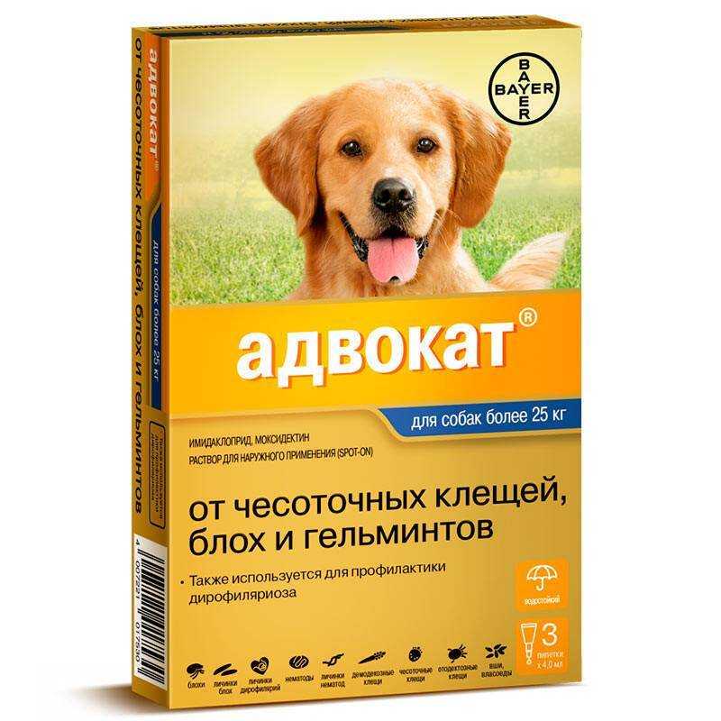 Адвантикс для собак