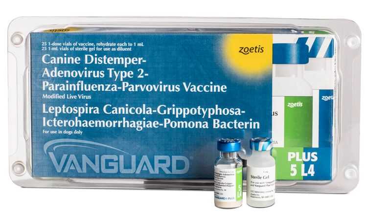 Вакцины вангард 5 и вангард 7: инструкция по применению