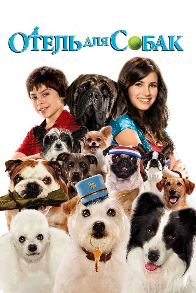 Фильмы пpo собак – список лучших фильмов про собак