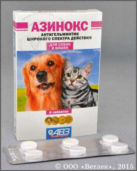 Азинокс для кошек: инструкция, цена, отзывы и эффективность препарата