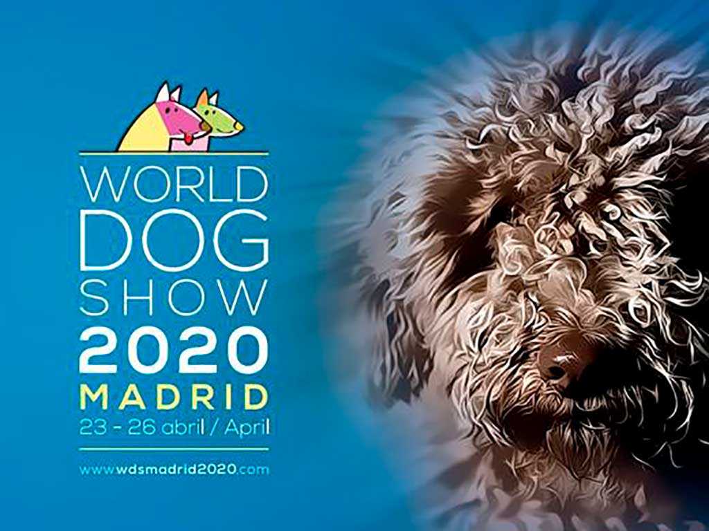 Чемпионат мира собак world dog show в 2019 году: место проведения
