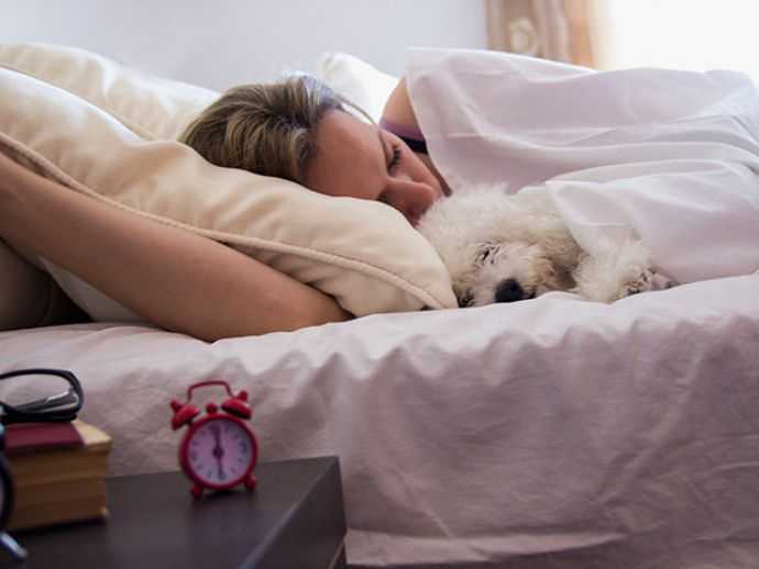 Сколько спят собаки мелких пород