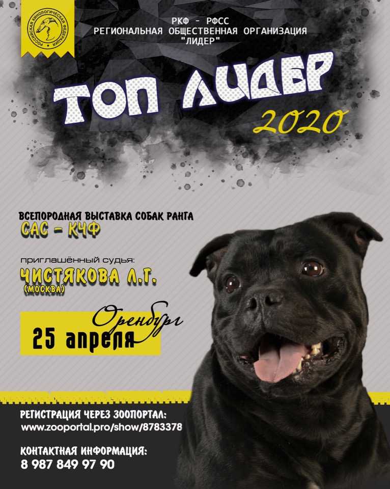 Выставка собак всех пород ранга сас чркф, чрфлс г. москва «летний вернисаж 2021»
