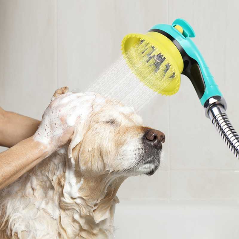 Как соблюдать оптимальный график мытья собаки?